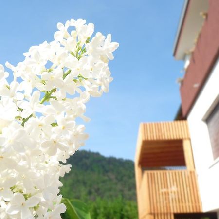 B&B Casa Sul Lago - Appartamenti Calceranica al Lago Rom bilde