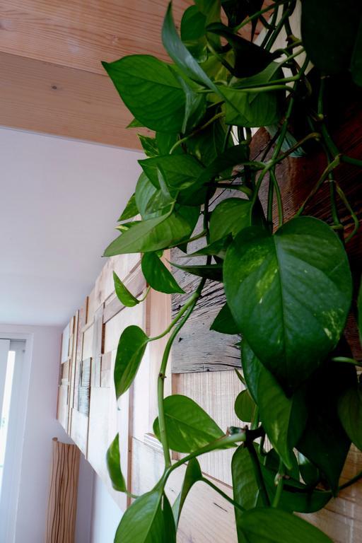 B&B Casa Sul Lago - Appartamenti Calceranica al Lago Rom bilde