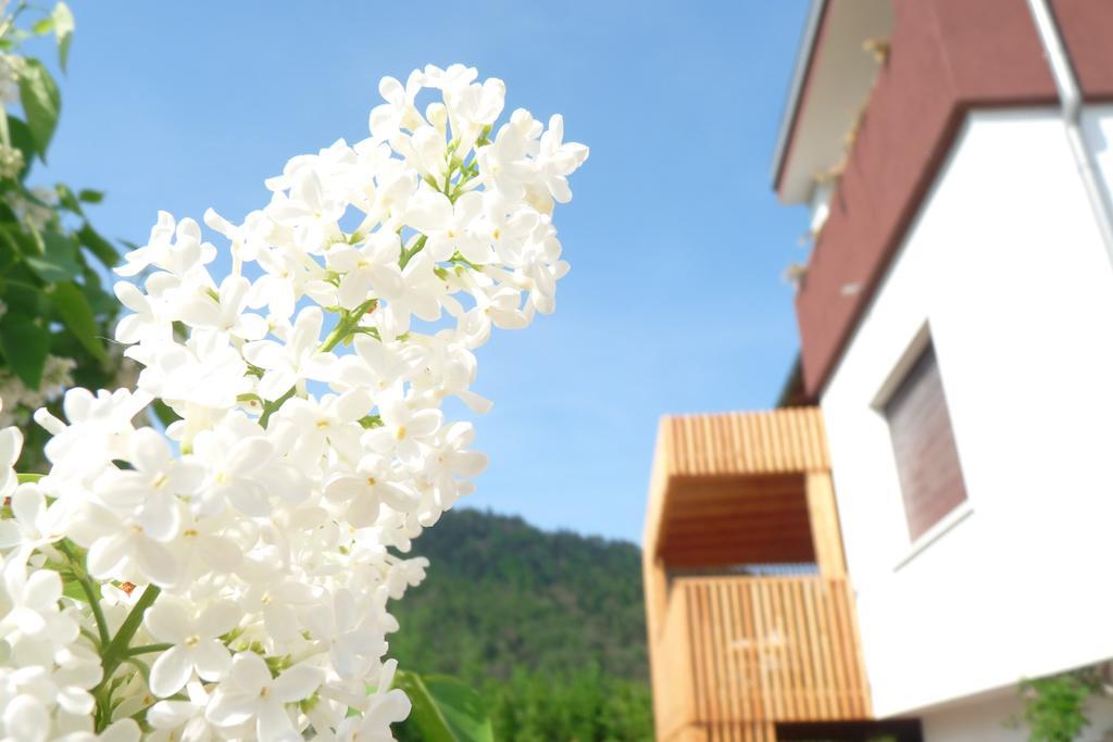B&B Casa Sul Lago - Appartamenti Calceranica al Lago Rom bilde