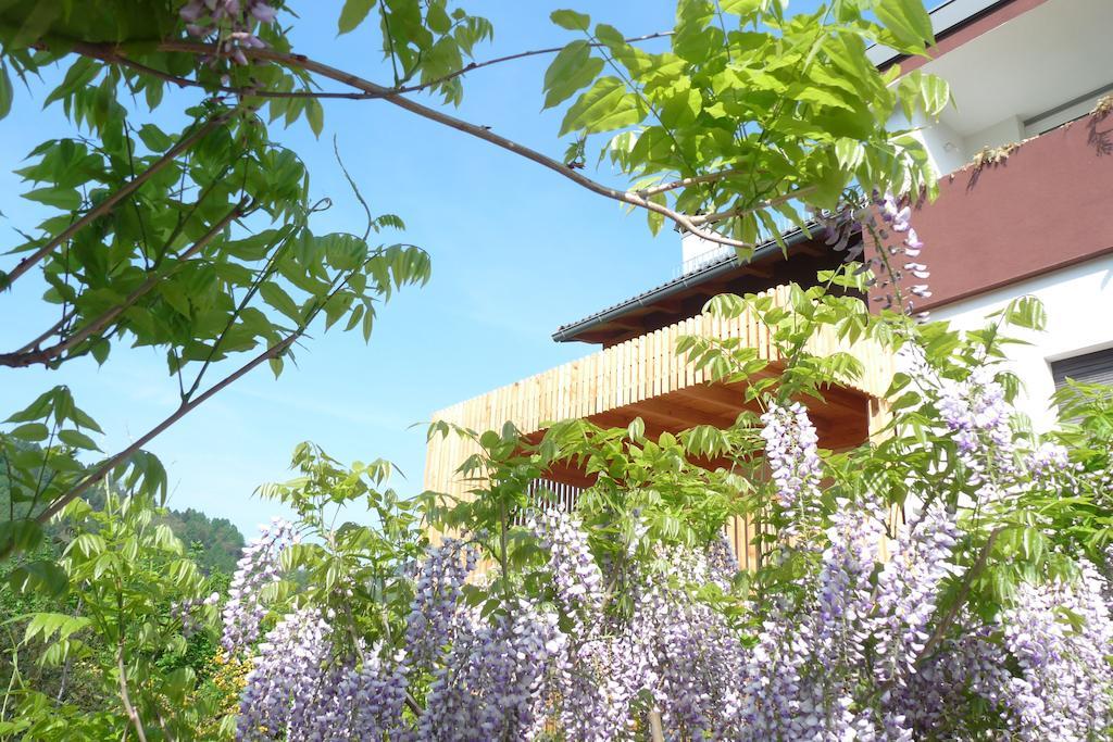 B&B Casa Sul Lago - Appartamenti Calceranica al Lago Eksteriør bilde