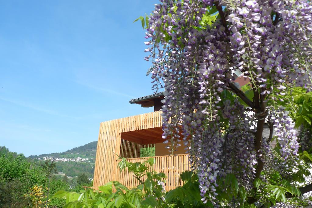 B&B Casa Sul Lago - Appartamenti Calceranica al Lago Eksteriør bilde