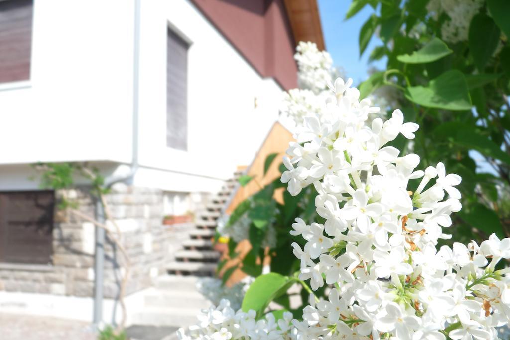 B&B Casa Sul Lago - Appartamenti Calceranica al Lago Eksteriør bilde