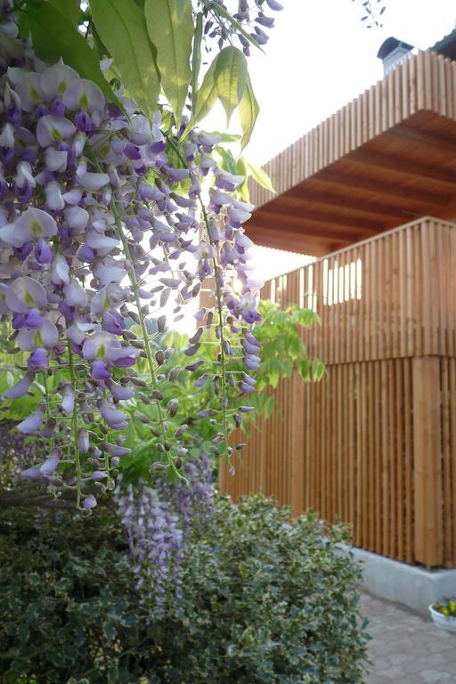 B&B Casa Sul Lago - Appartamenti Calceranica al Lago Eksteriør bilde